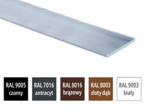 PŁASKOWNIK aluminiowy 40x3 malowany proszkowo